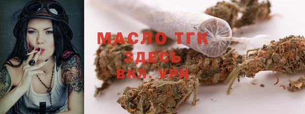 индика Протвино