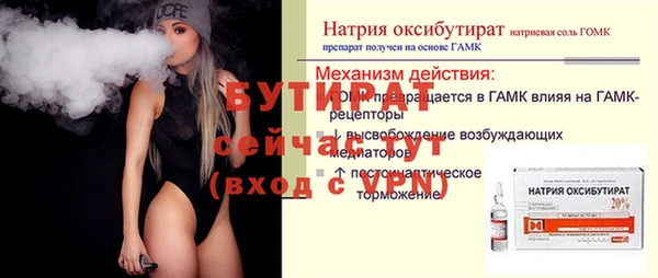 индика Протвино