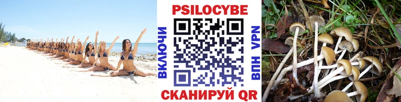 MEGA как войти Старая Русса Псилоцибиновые грибы GOLDEN TEACHER магазин
